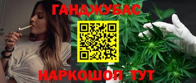 гидра Краснознаменск